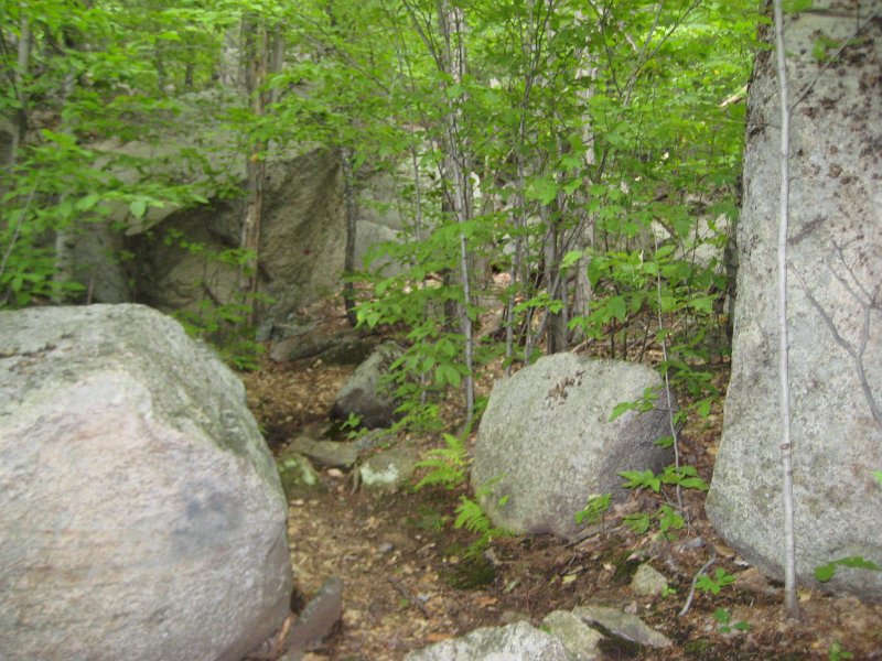 MtBayle (10).JPG - There were rocks of many shapes and sizes.
